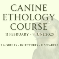 Canine Ethology Course 2025